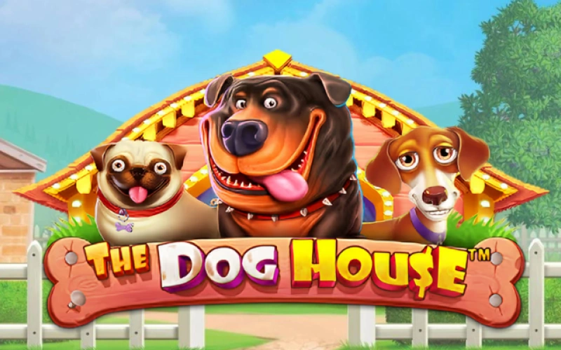 Join The Dog House slot on Glory Casino and boost your luck.